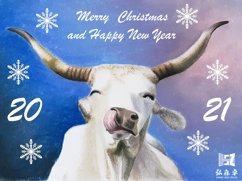 Merry Christmas and Happy New Year 2021(图1)